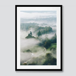 Evergreen Mist | Lake District Photography Prints | CAlum Lewis photography